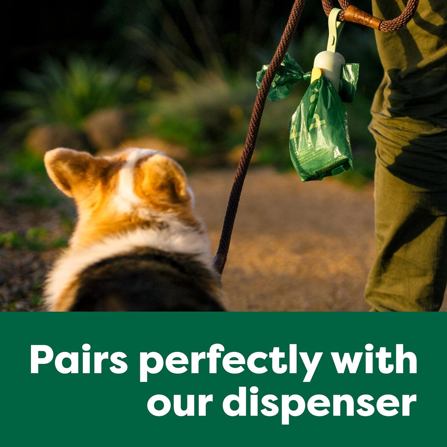 dog poop bags-6