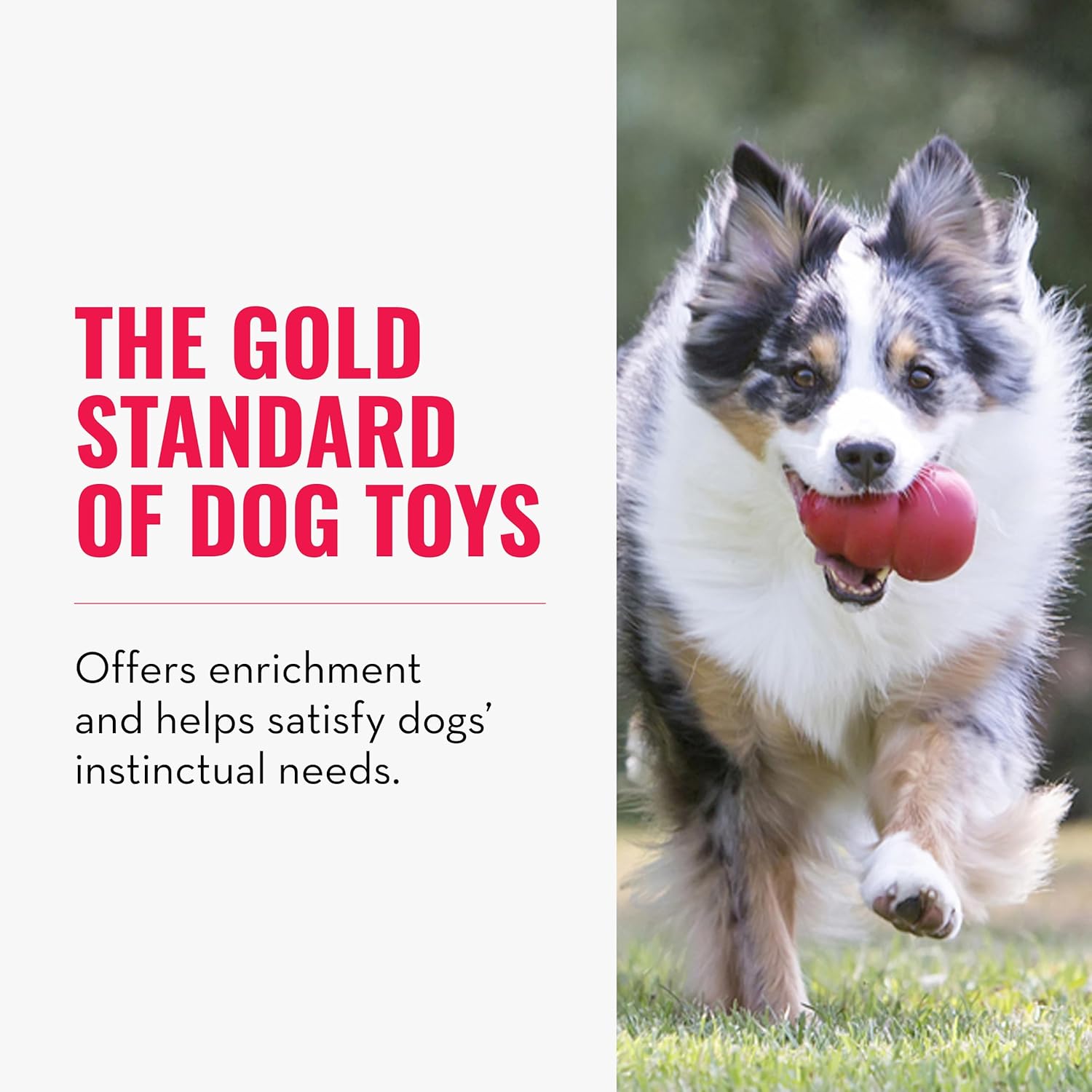 stuffable dog toy-4 stuffable dog toy